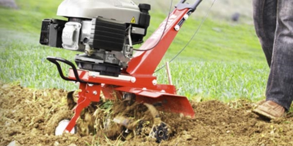 Kertészeti webáruházat keres?