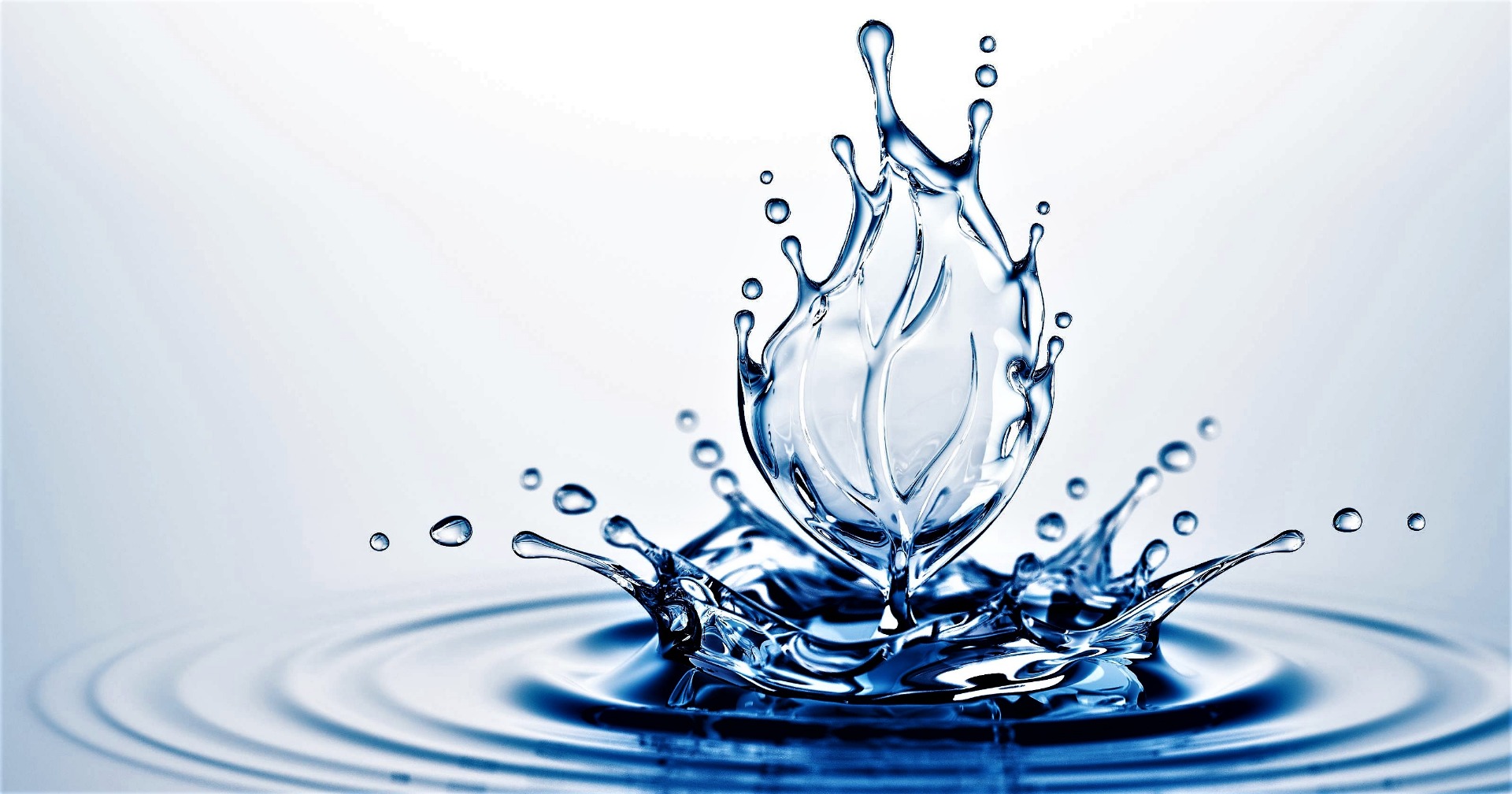 Több típusú esővíz tárolót is vásárolhat!