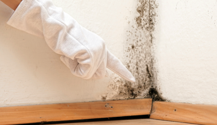 A penészes falak vége!