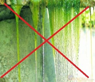 Algairtók a tiszta kerti tóért!