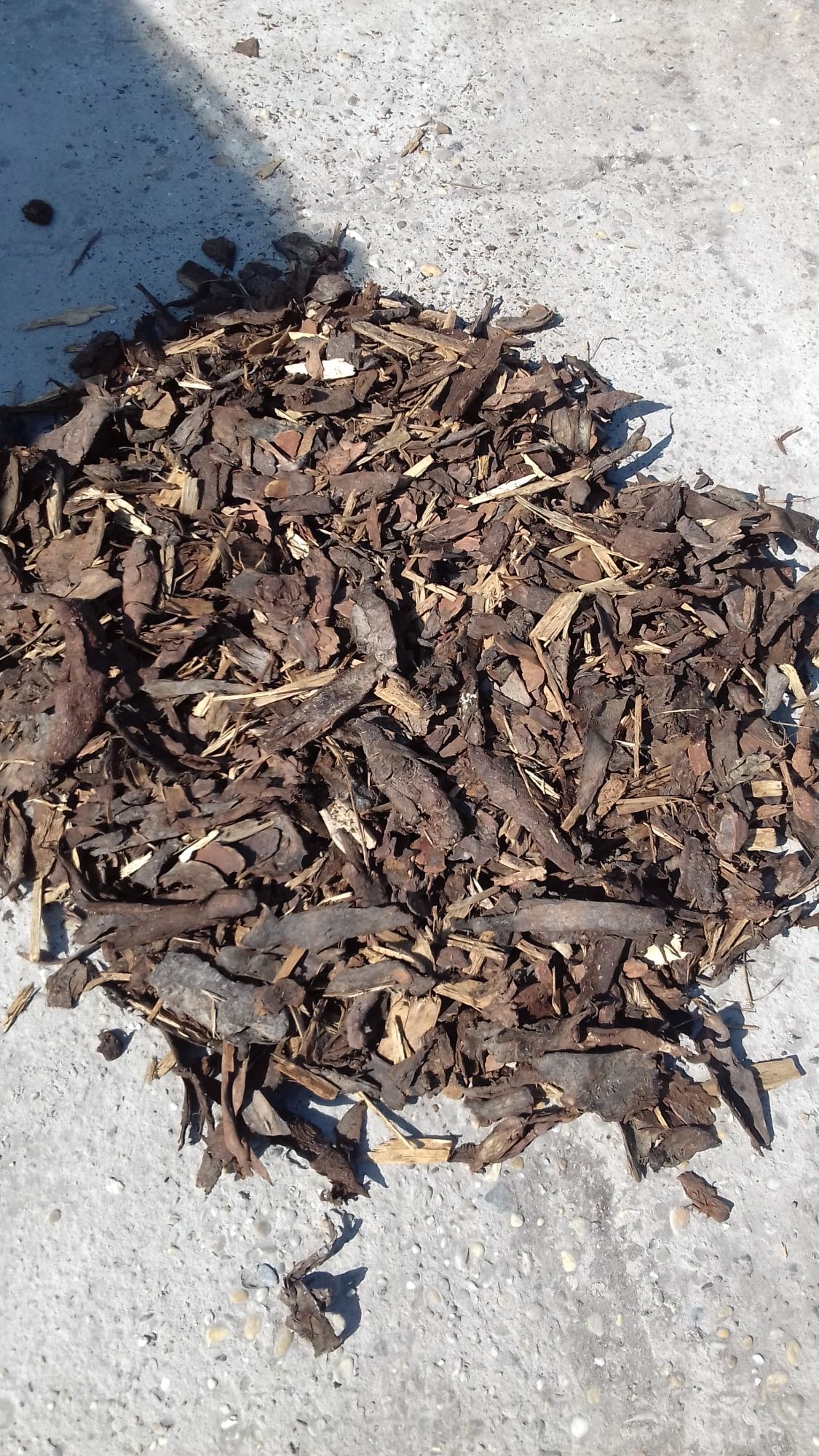 Talajtakarás? Válassza a fenyőkérget!