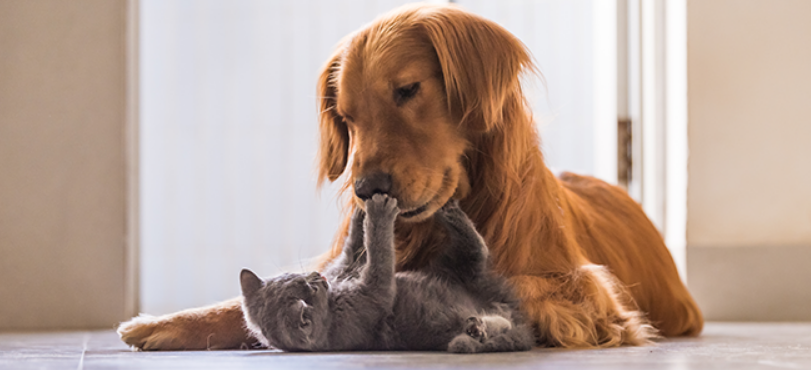 A fájdalmas végső búcsú